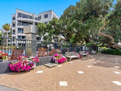 4E/175 Hurstmere Road, Takapuna