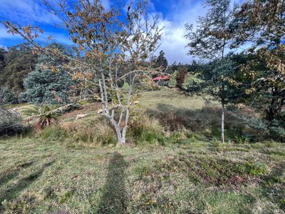 Lot 2 Eadies Lane, Franklin