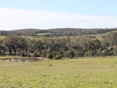 545 Hardings Lane, Tooborac