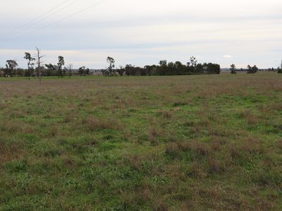 696 Back Trundle Road, Parkes