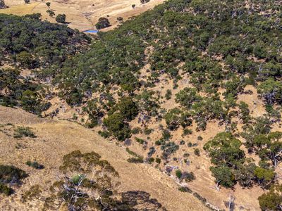 Lot 11 Crawford Lane, Normanville
