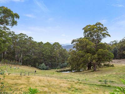 312 Silver Hill Road, Cygnet