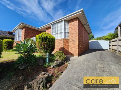 56 Leopold Crescent, Hampton Park