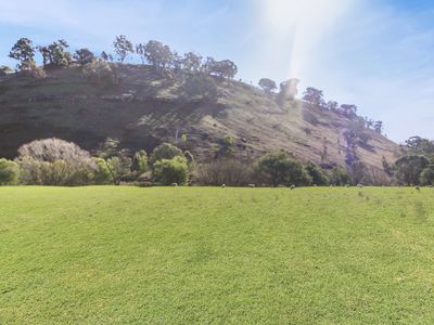 Lot 38, Sawpit Gully Road, Bridge Creek