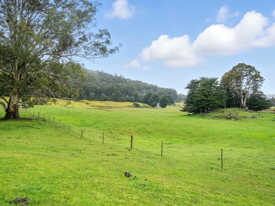 64 Mersey Forest Road, Liena