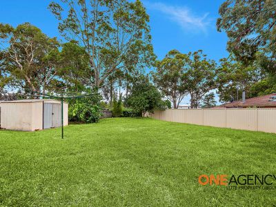 6 Wilga Close, Albion Park Rail