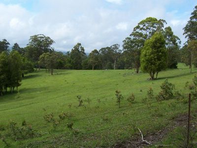 Curramore