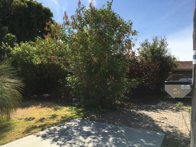 2B Havenvale Crescent, Dianella