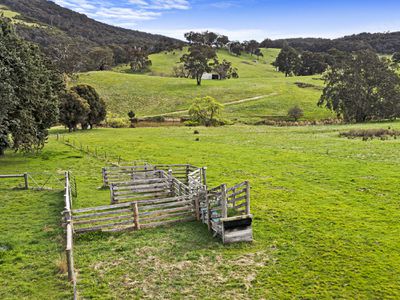 2115 HIGHLANDS ROAD, Whiteheads Creek