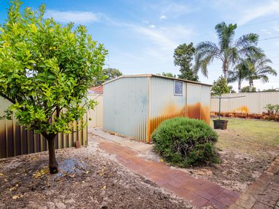 6 Borah Court, Caversham
