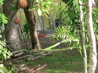 19 Slaughter Yard Road, Cooktown