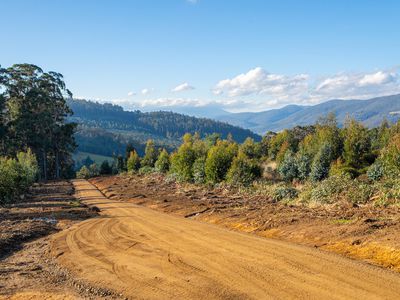 Lot 10 off Paddys Lane, Franklin
