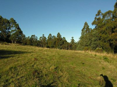 Palmers Road, Oyster Cove