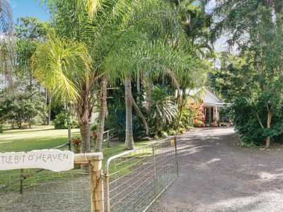 10 Wattlebird Drive, Doonan