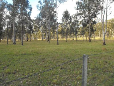 Wattle Camp