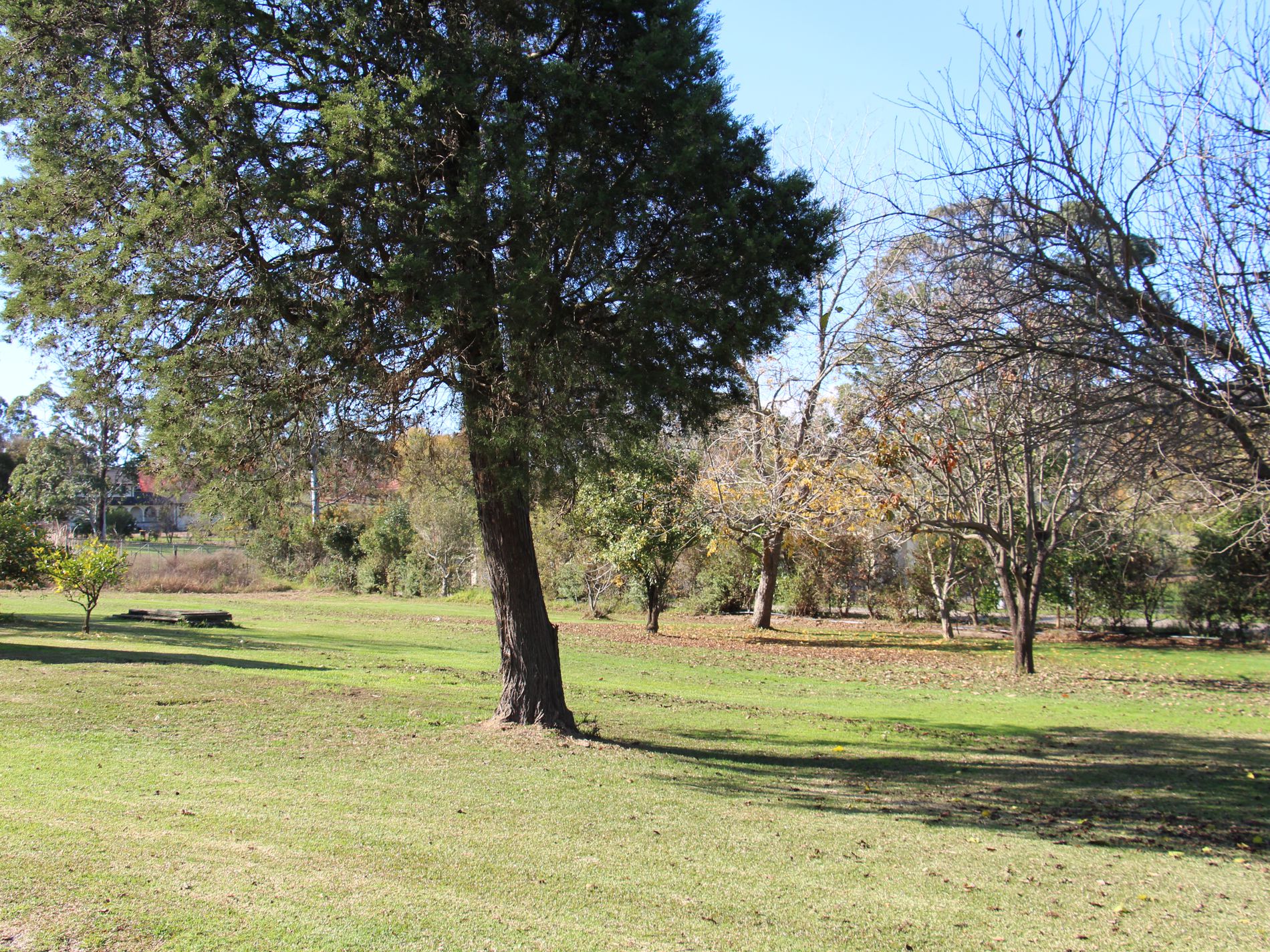 80-84 Kerrs Road, Mount Vernon, Mount Vernon - Thumbnail 7