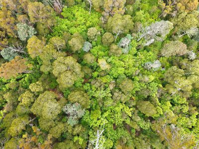 107 Wielangta Road, Kellevie