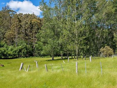 255 Turn Creek Road, Grove