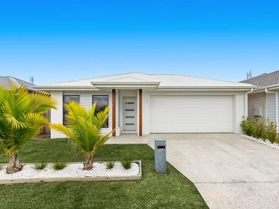 25 Silverleaf Street, Palmview