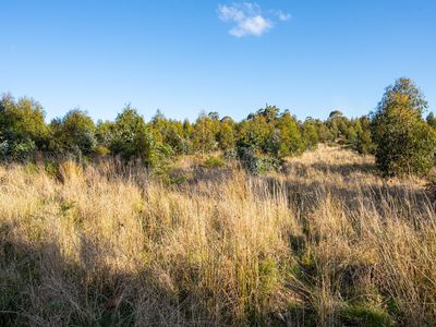 Lot 6 Paddys Lane, Franklin