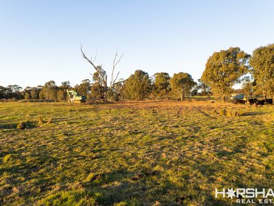 Lot 43 Sims Lane, Homebush