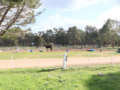 381 Warrowitue-Forest Road, Heathcote