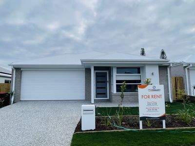 36 Harvest St, Morayfield