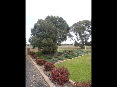 29L Whitewood Road, Dubbo