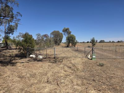 35 Hamilton Street, Finley