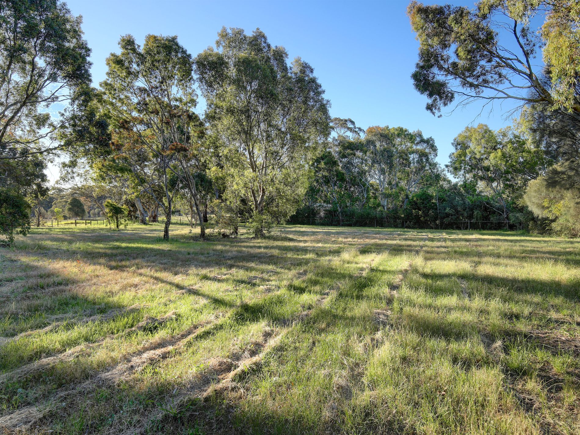 29 Rodert Road, Meadows