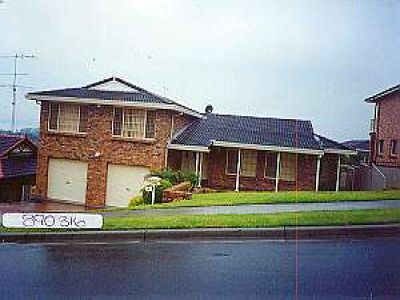 Blackbutt