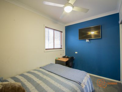 Dubbo
