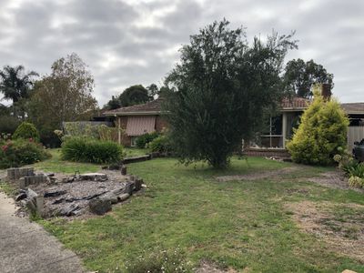 11 Aurea Court, Narre Warren