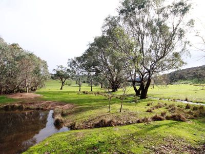 344 Taminick Gap Road, Taminick