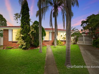 6 Tivy Place, Marayong