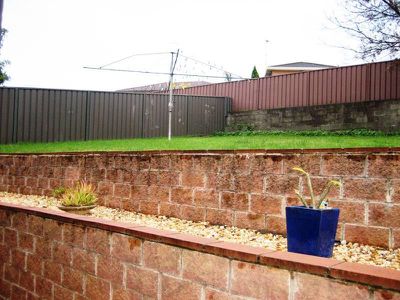 Mount Warrigal