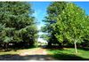 589 Cadia Road, Orange