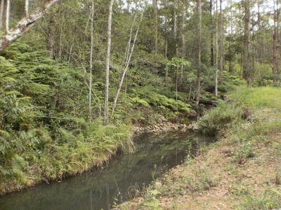Lot 3 Maleny-Stanley River Rd, Booroobin
