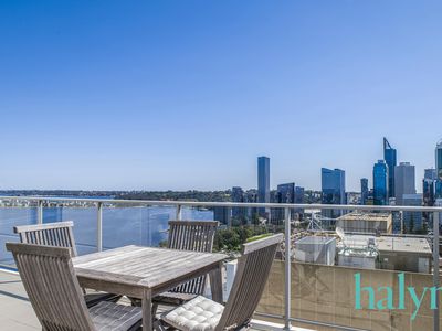 2304 / 237 Adelaide Terrace, Perth