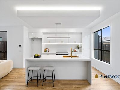 14 Pitchstone Circuit, Epping