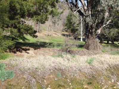 37 Bogong Avenue, Mount Beauty
