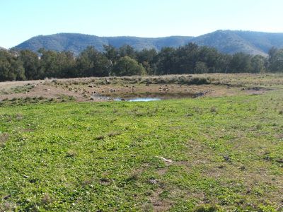 Lot 2 Mole River Road, Glen Innes