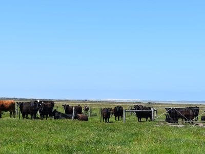 1404 Canunda Frontage Road, Millicent