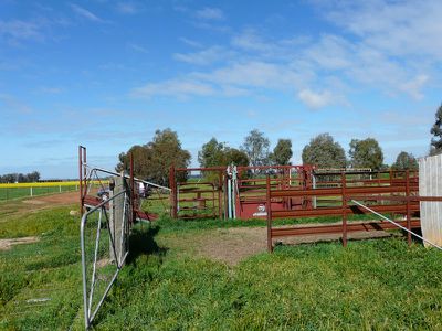 Tocumwal