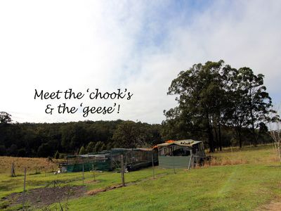551 Possum Brush Road, Possum Brush