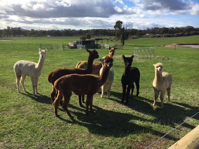 Lot 11  McLennan Road, Ladys Pass