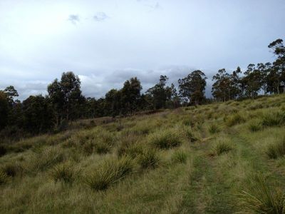 Lot 2 Twin Rivers Lane, Grove