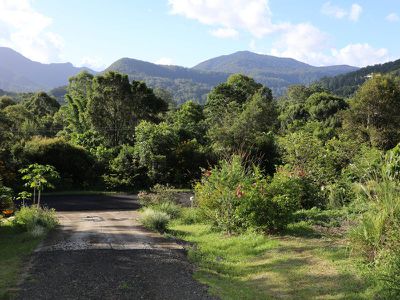 73 Basil Road, Nimbin
