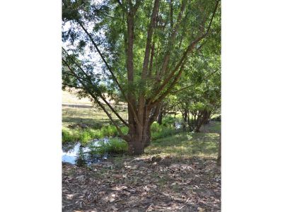 315 Mountain Creek Road , Tawonga