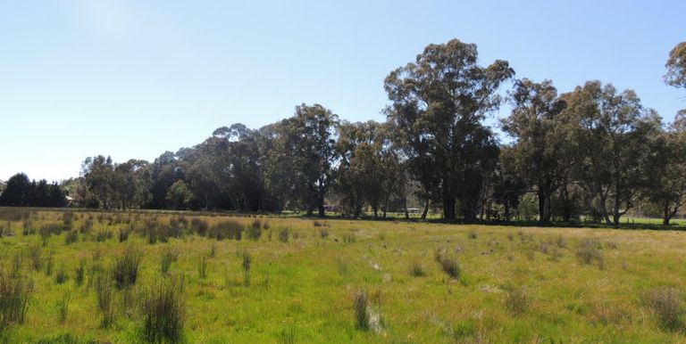 109-117 Boundary Road South, Euroa